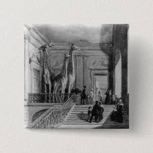 Giraffes on the staircase in the British 15 Cm Square Badge