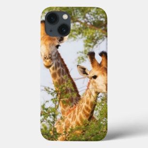 Giraffes Peeking Above Vegetation iPhone 13 Case