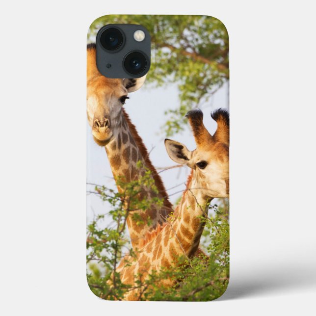 Giraffes Peeking Above Vegetation Case-Mate iPhone Case (Back)