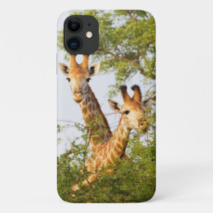Giraffes Peeking Above Vegetation iPhone 11 Case