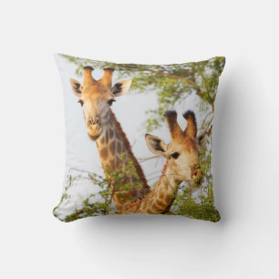Giraffes Peeking Above Vegetation Cushion