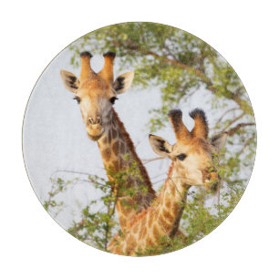 Giraffes Peeking Above Vegetation Cutting Board