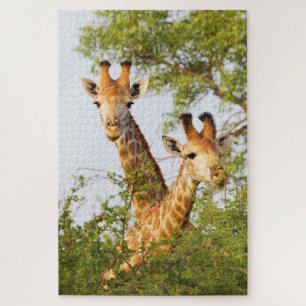 Giraffes Peeking Above Vegetation Jigsaw Puzzle