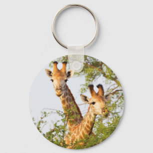 Giraffes Peeking Above Vegetation Key Ring