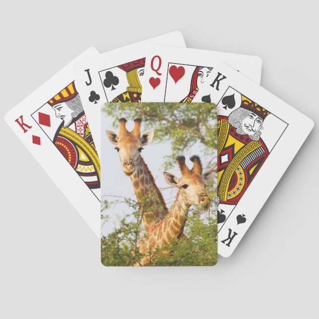 Giraffes Peeking Above Vegetation Playing Cards (Back)