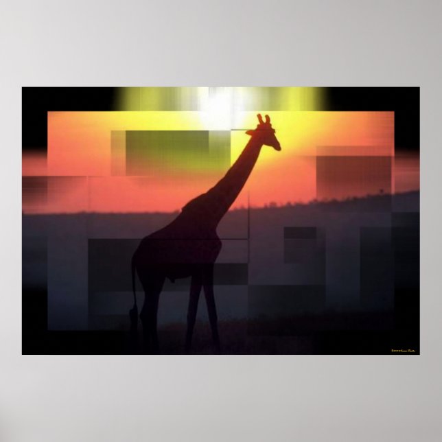 Giraffes Print (Front)