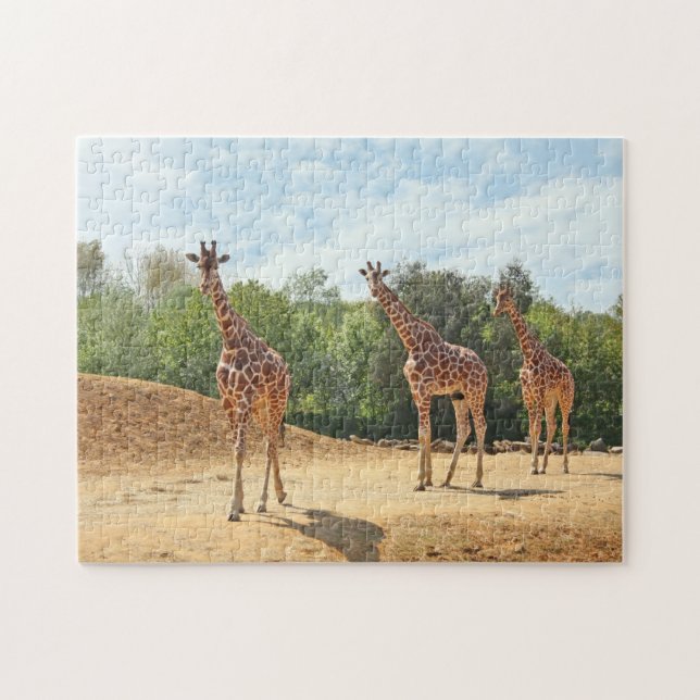 Giraffes Puzzle (Horizontal)