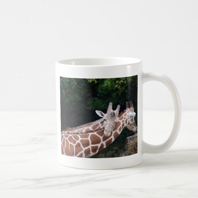 giraffes rubbing necks coffee mug (Right)