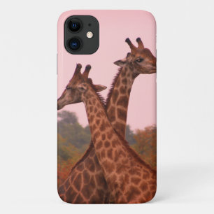 Giraffes standing in mopani trees with pink sky iPhone 11 case