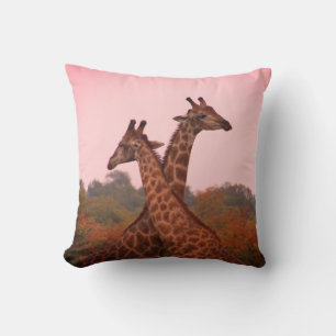 Giraffes standing in mopani trees with pink sky cushion