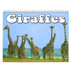 Giraffes Wall Calendar