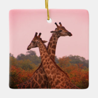 Giraffes with a pink sky ceramic ornament