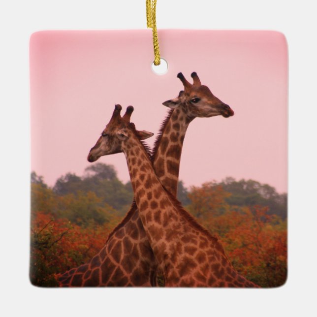 Giraffes with a pink sky  ceramic ornament (Front)