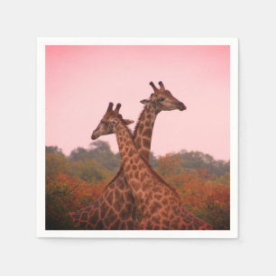 Giraffes with a pink sky napkin