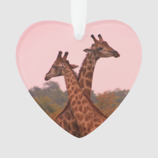 Giraffes with a pink sky ornament