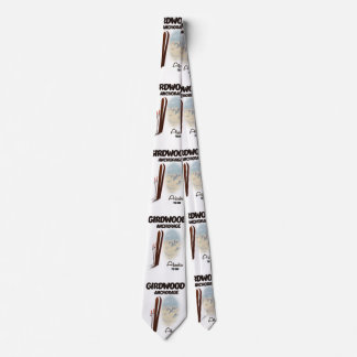 Girdwood anchorage Alaska ski poster Tie