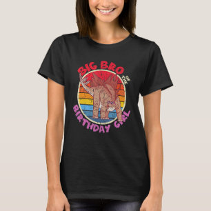 Girl Birthday I Big Bro I Stegosaurus I Family Mat T-Shirt