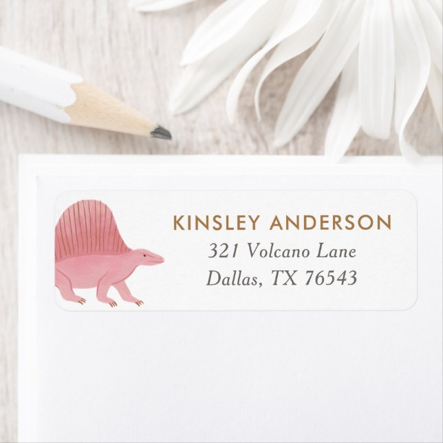 Girl Dinosaur Birthday Party Return Address (Insitu)