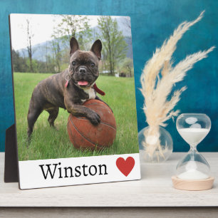 Girl Dog Lover Photo and Name French Bulldog Dog Plaque