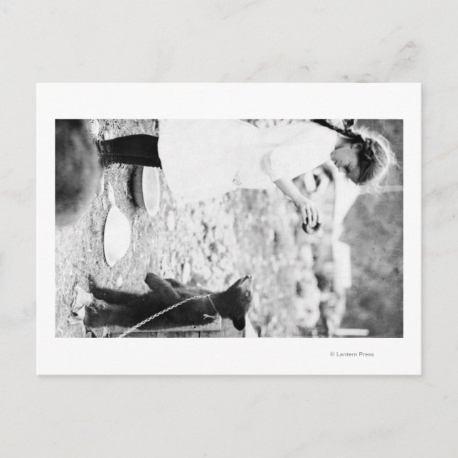 Girl Feeding Bear Cub in Seward Postcard (Front)