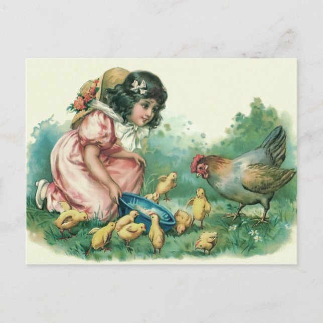 Girl Feeding Easter Chick Hen Holiday Postcard (Front)