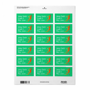 Girl gecko lizard name school book labels