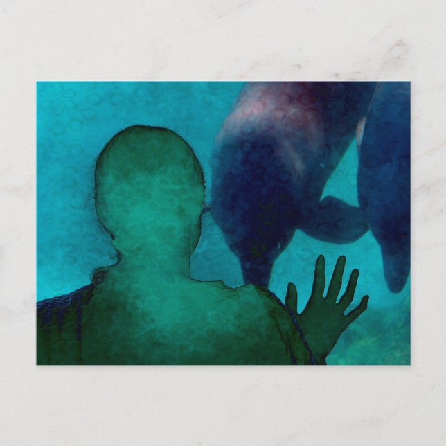 Girl hand up dolphins back grunged postcard (Front)