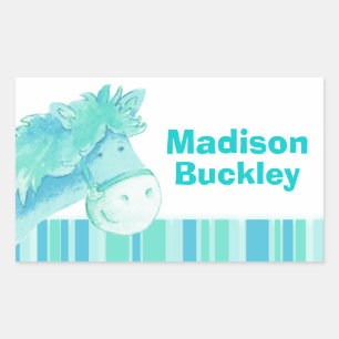 Girl id full name aqua pony horse sticker