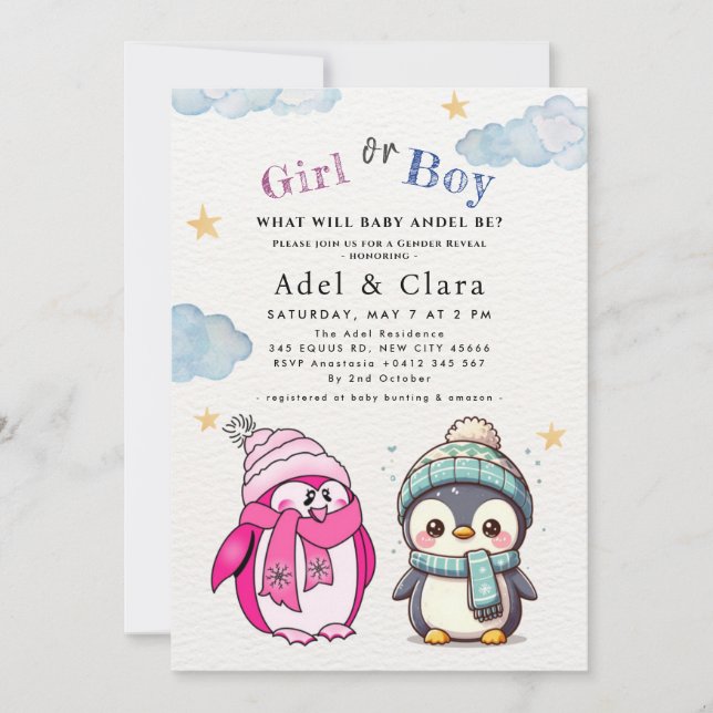 Girl or Boy Gender Neutral Winter Baby Shower Invitation (Front)