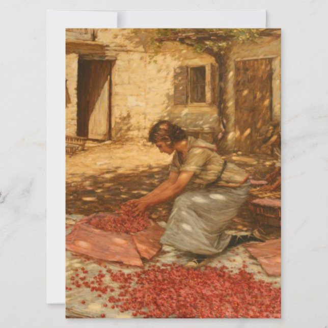 Girl Packing Cherries in Provence (France) Card (Front)