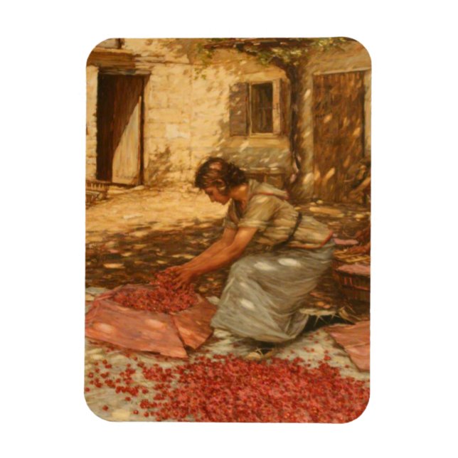 Girl Packing Cherries in Provence (France) Magnet (Vertical)