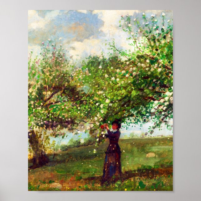Girl Picking Apple Blossoms by Winslow Homer Poster (Front)