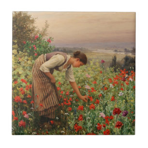 Girl Picking Poppies (Floral Scene) (Flower Field) Tile