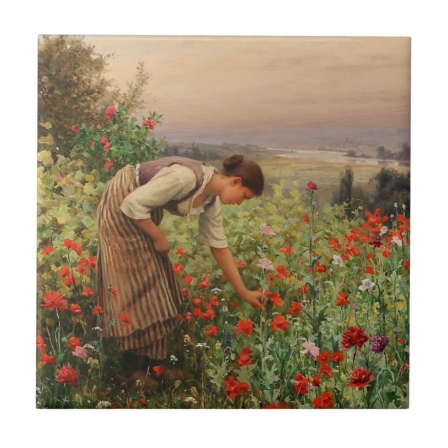 Girl Picking Poppies (Floral Scene) (Flower Field) Tile (Front)