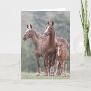 Girl Power - Galloping to Freedom Greeting Card
