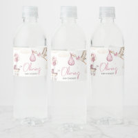 Girl Storck Special Delivery Baby Shower