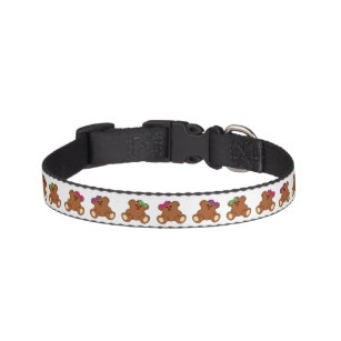bear dog collar