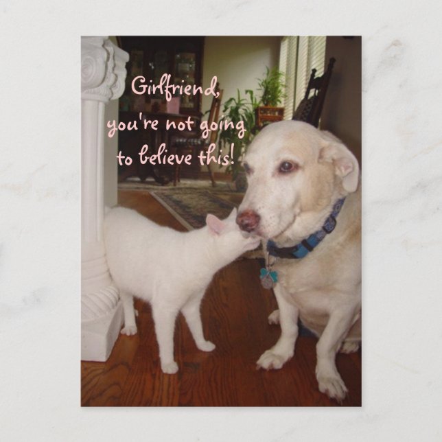 Girlfriend, you won't believe! postcard (Front)