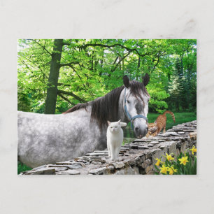 "Girlfriends" Postcard