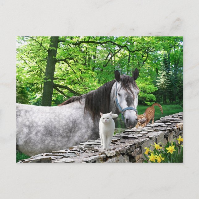 "Girlfriends" Postcard (Front)