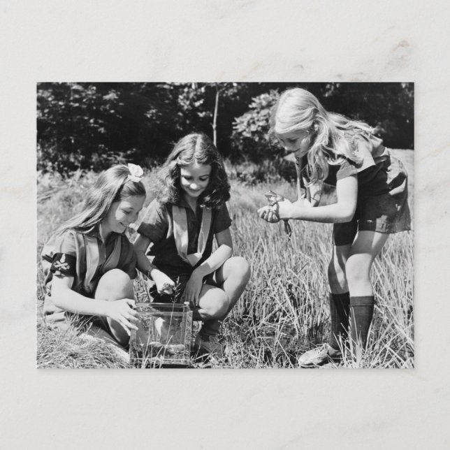 Girls Collecting Frogs, 1940s Postcard (Front)