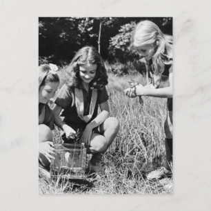 Girls Collecting Frogs, 1940s Postcard