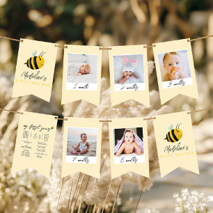 Girls Cute 1st Bee Day Birthday Milestone Photo Bunting