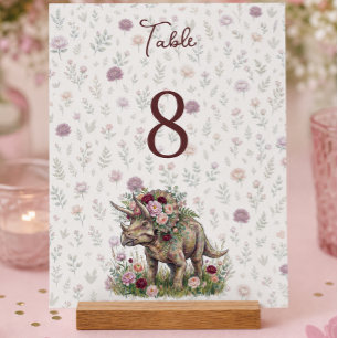 Girls Dinosaur Birthday Acrylic Sign