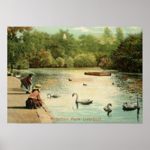 Girls Feeding Swans, Liverpool UK 1904 Vintage Poster