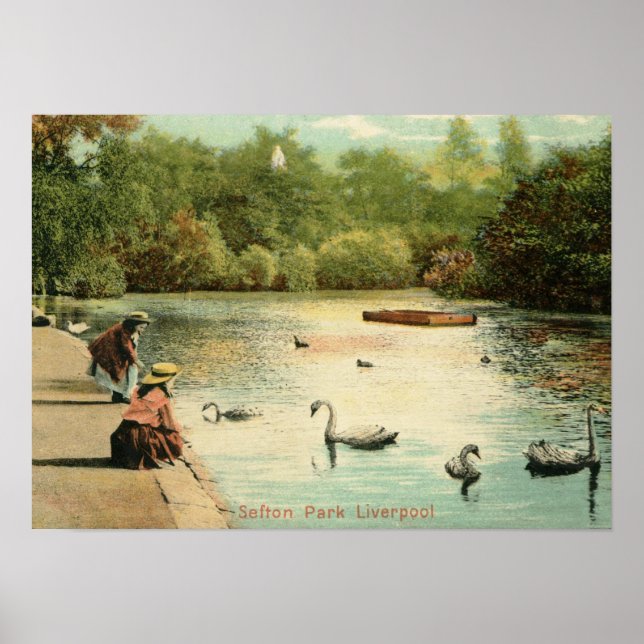 Girls Feeding Swans, Liverpool UK 1904 Vintage Poster (Front)