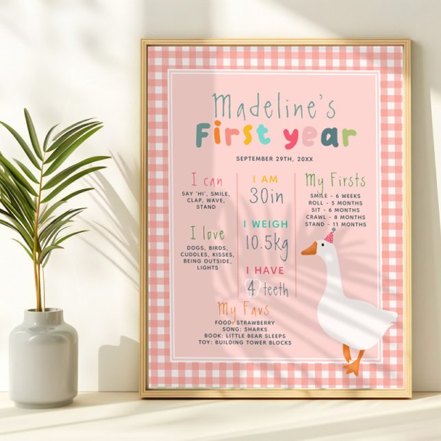 Girls Pink Goose First Year Birthday Milestone Poster (Creator Uploaded)