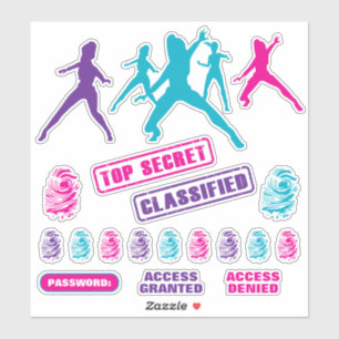 Girls Spy Party Stickers