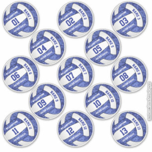 girly blue volleyball w player names set of 13