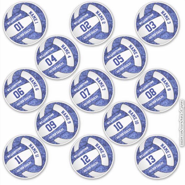 girly blue volleyball w player names set of 13 (Front)